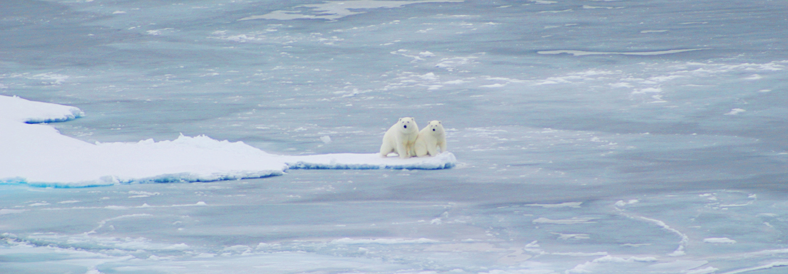 Larry and Betty Larry and Betty on ice